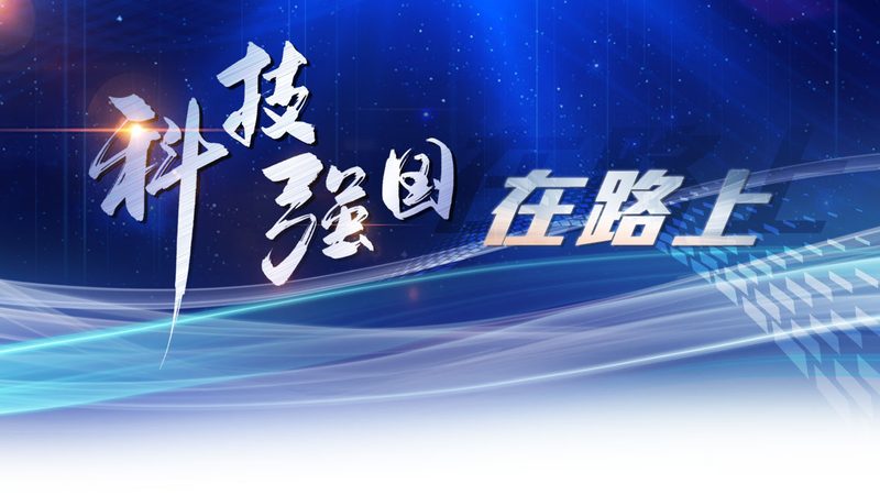 数据仓库选型：如何规避常见陷阱，确保高效决策